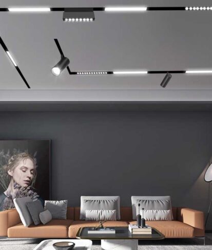 Magntic Application 1